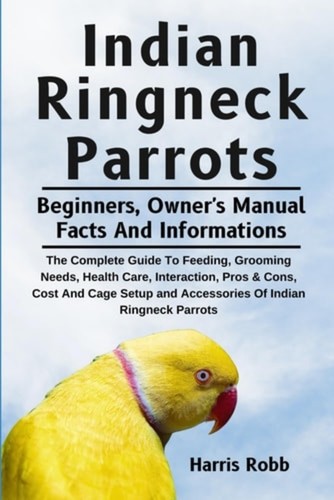 Indian ringneck parrots the - indian,