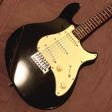 Peavey Raptor Plus Black