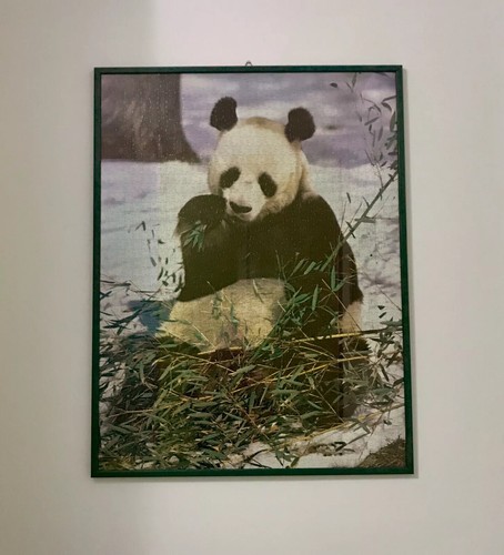 Puzzle panda incorniciato - puzzle, cm