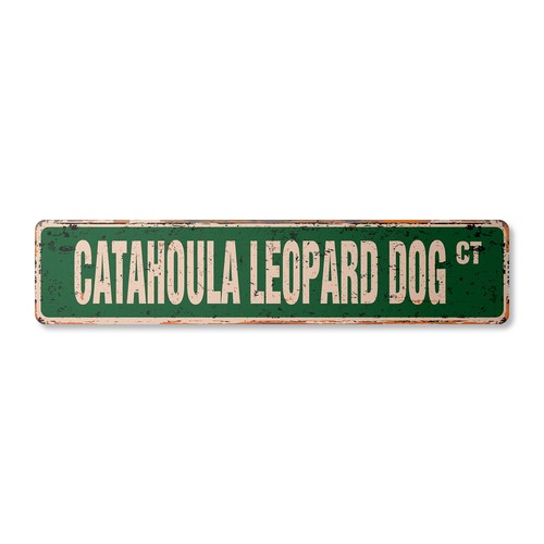 Catahoula cane leopardo - catahoula,