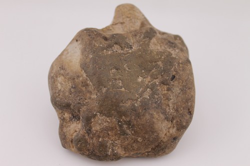 Granchio ferro cavallo - ferro,