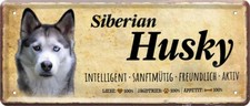  ''Siberian Husky'' 28x12cm