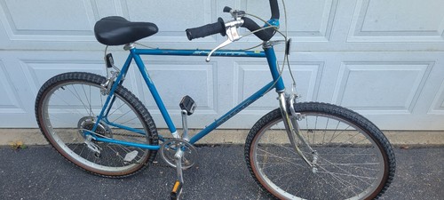 Vintage schwinn cruiser - vintage,