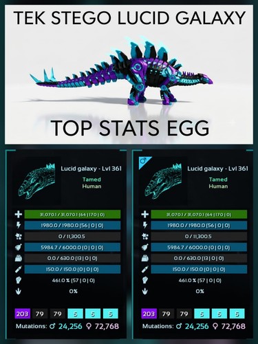 Tek stego top stats coppia - top,