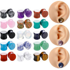 1 Paio Elastici Spina Elastici