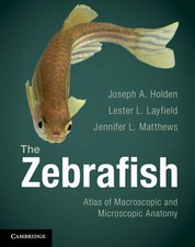The Zebrafish Atlas