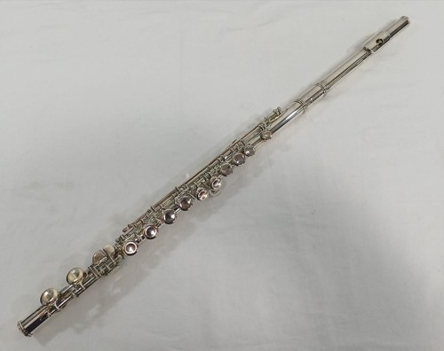 Flauto spazzatura jupiter - spazzatura,