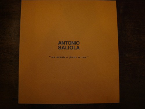 Antonio saliola son - saliola,, a