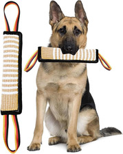 Salsicciotto Cane