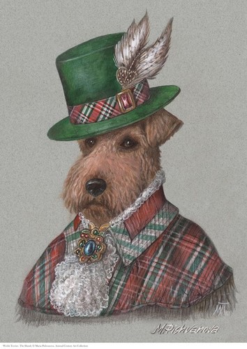 Welsh terrier stampa - terrier, a3