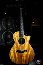 Taylor k22 2001 - 2001, chitarra