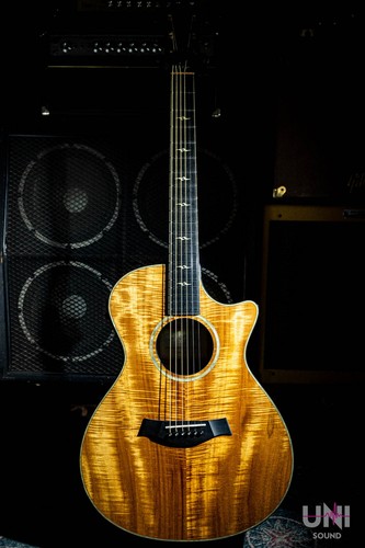 Taylor k22 2001 chitarra - k22,