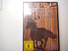 American Black Beauty (DVD)
