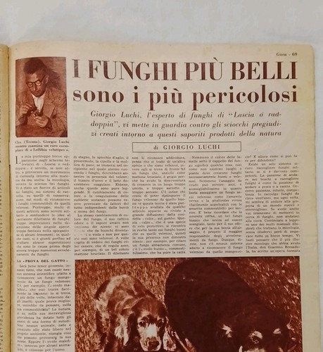 Cles trento giorgio luchi - trento,