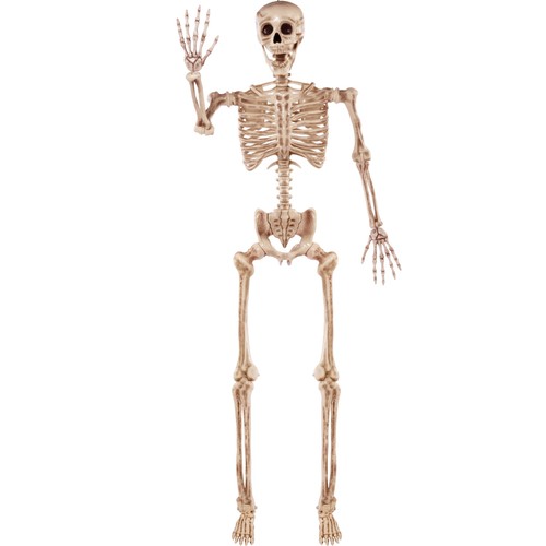 Scheletro halloween a - halloween,