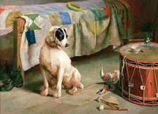 Bellissimo quadro olio cani