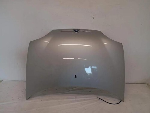 46511948 cofano anteriore fiat - cofano,