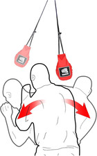 Dodge Hide Sacco Da Boxe, in