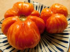 Pomodoro Charlie Chaplin - 5+ semi - cereali - semi - P 475