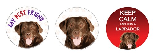 Chocolate labrador dog car van - car,