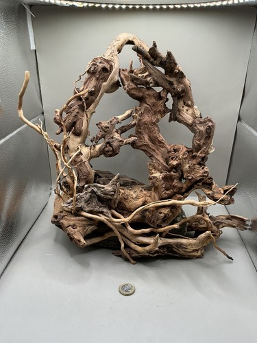 Acquario driftwood artigianale - driftwood,