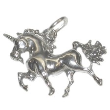 Ciondolo in argento sterling