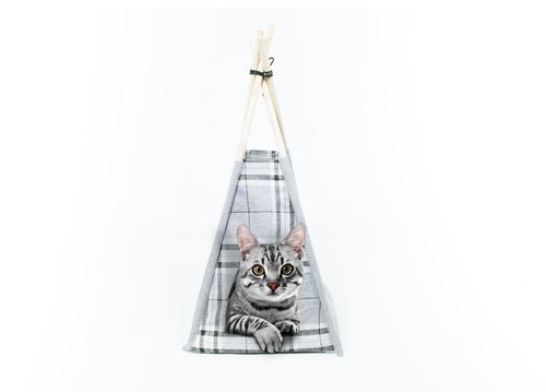 Cuccia per animali domestici - cuccia,