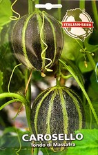 40 Semi/Seeds CAROSELLO Tondo