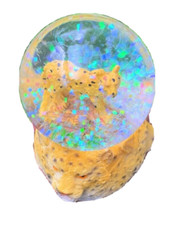 Leopardo Neve Lince Ghepardo