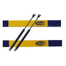 2 molle a gas cofano