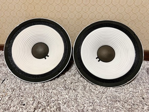 Coppia altoparlanti woofer - coppia, di