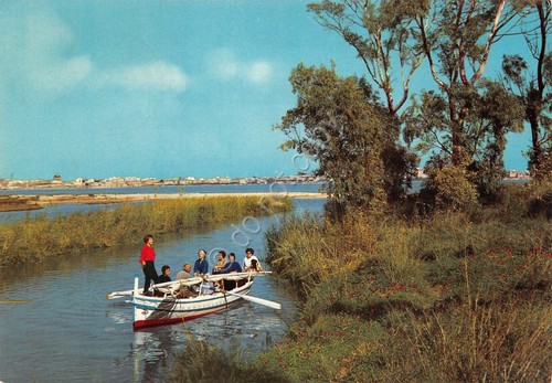 Cartolina siracusa fiume ciane - siracusa,