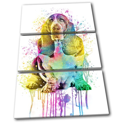 Colourful bassett hound dog - bassett,