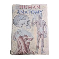 Human Anatomy Taj Books Giant