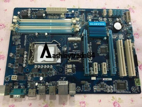 Scheda madre gigabyte - scheda,