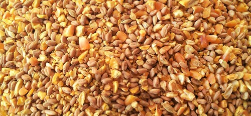 Mangime galline pulcini - mangime,