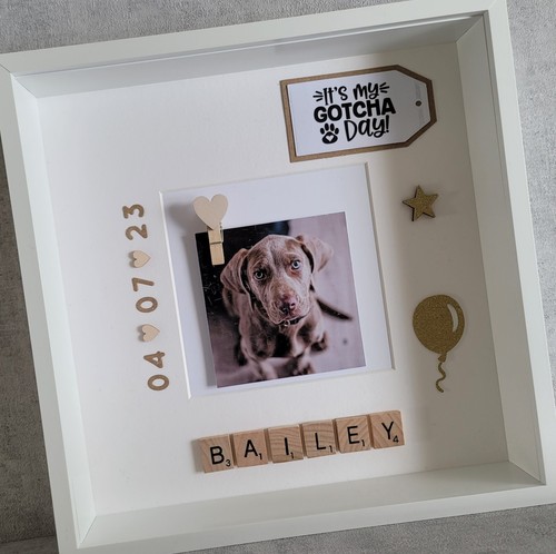 Pet cornice portafoto - |,