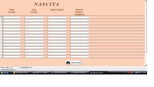 Software gestionale gestione - gestionale,