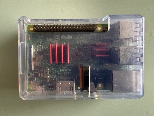 Raspberry model 1 - raspberry, gb