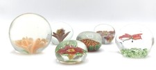 Collezione 6  Murrine Veneziane