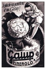 PUBBLICITA' PANETTONE GALUP FERRUA PINEROLO DOLCE NATALE SCATOLA DONNINA 1951