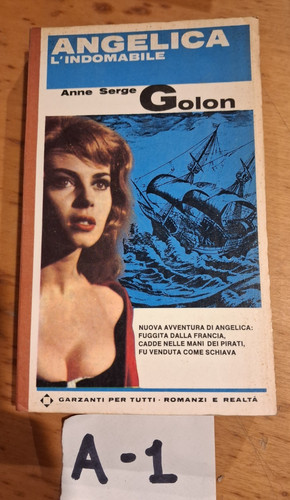 Libro romanzo angelica - libro,