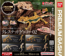 Crested Gecko 02 Set di 4