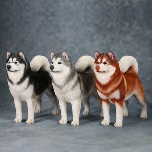 Jxk alaskan malamute cute - alaskan,