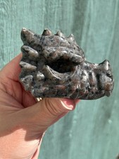 Yooperlite Dragon Head *Slight