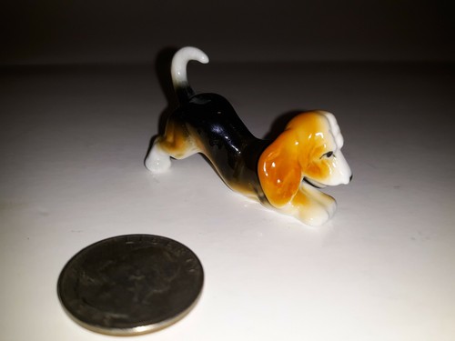 Miniature basset hound - miniature,