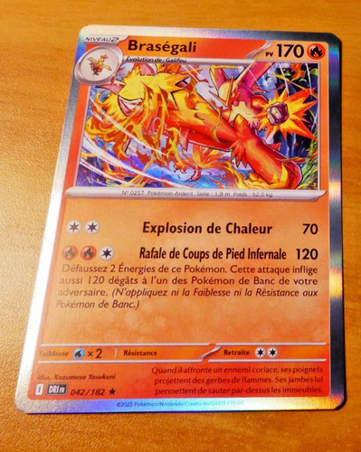 Pokemon rivalites destinees - rivalites,