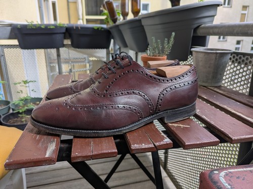 Oxford coda rondine - oxford,