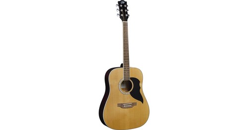 Eko ranger chitarra acustica - 6,
