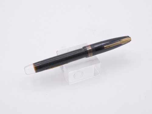 Penna stilografica waterman - penna,